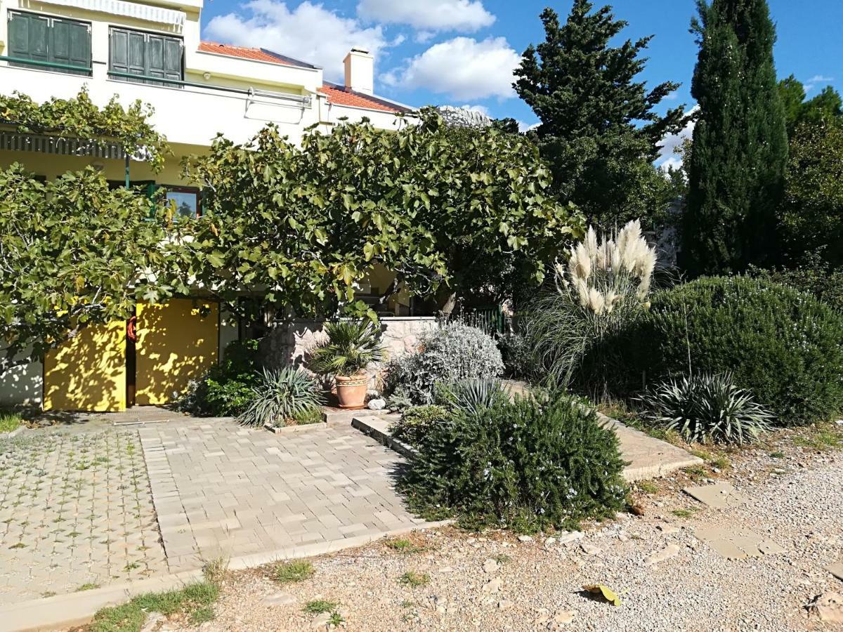 Apartment Matea - 20M From The Beach 策萨利卡 外观 照片